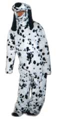 Dalmata